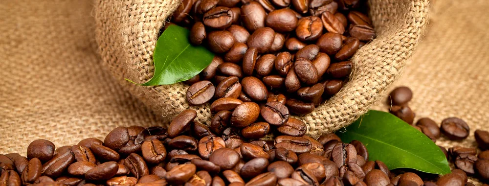 Arabica coffee